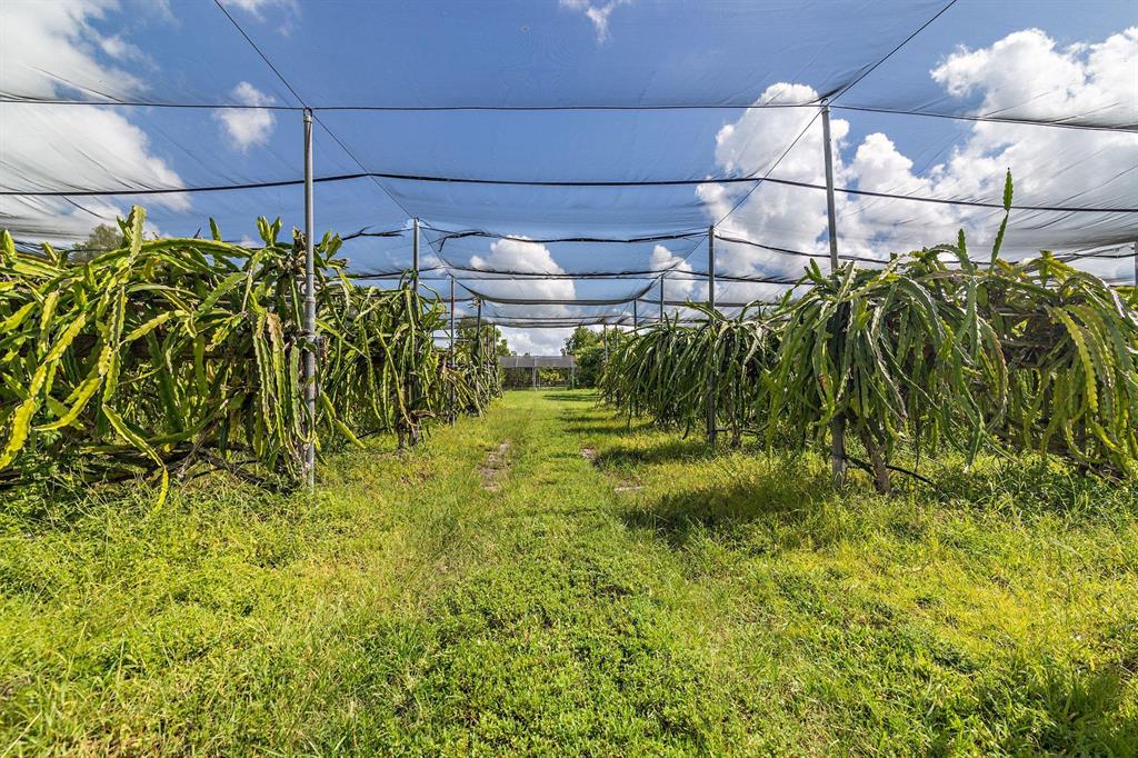 LOXAHATCHEE GROVES - Residential