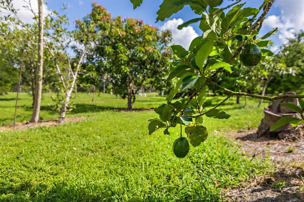 LOXAHATCHEE GROVES - Residential