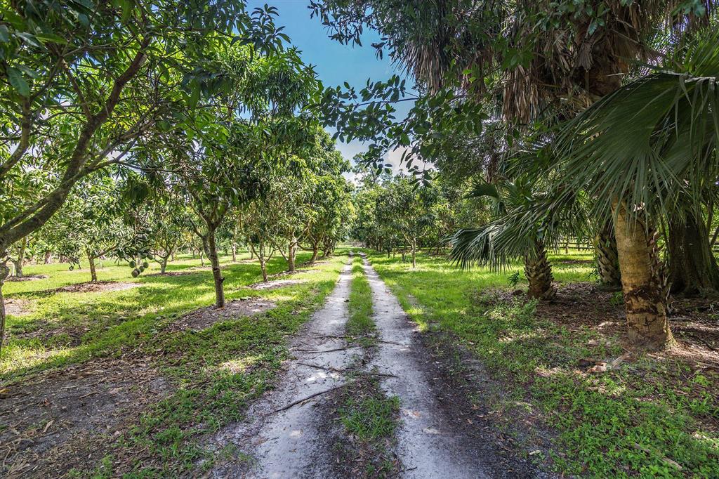 LOXAHATCHEE GROVES - Residential