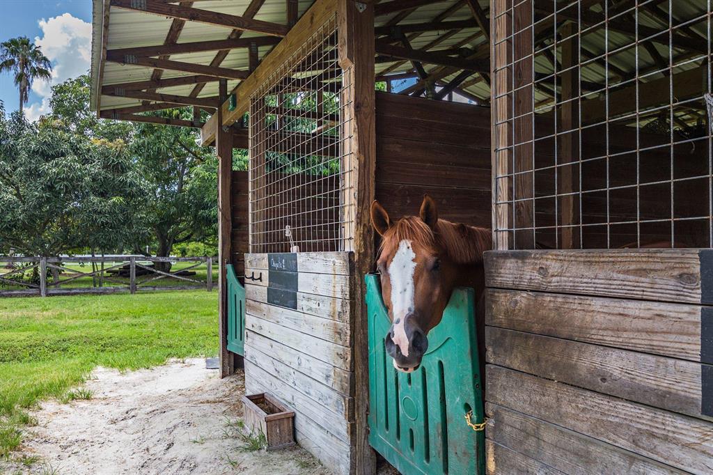 LOXAHATCHEE GROVES - Residential
