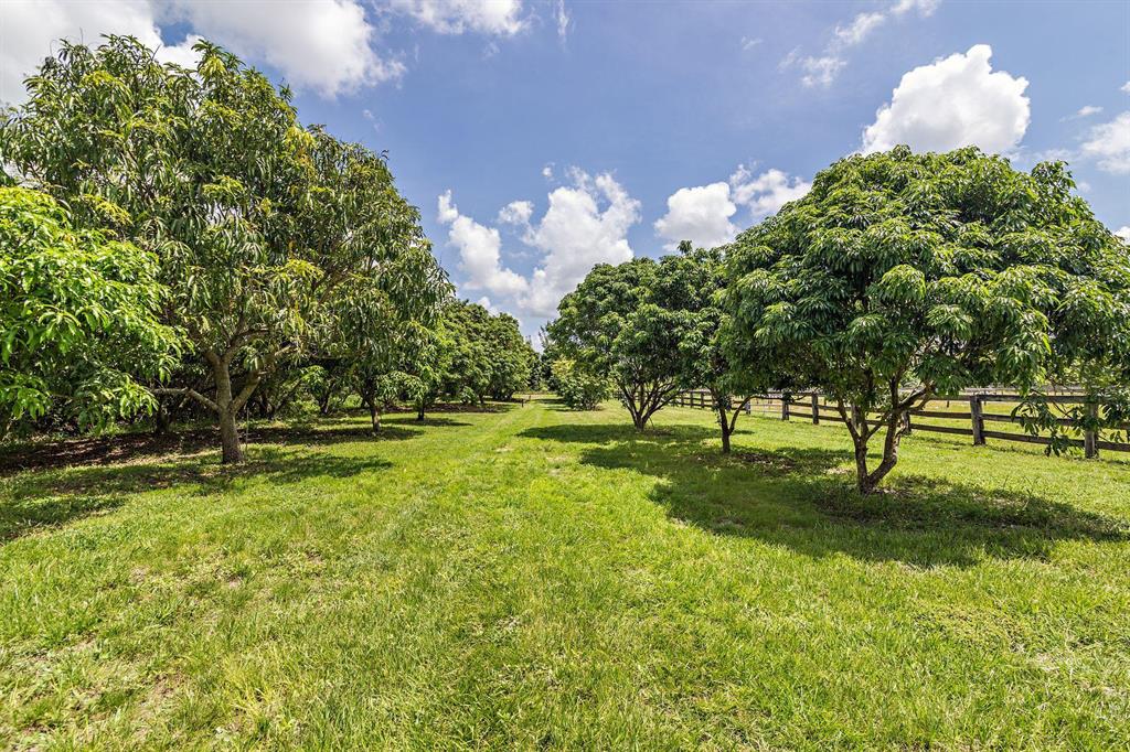 LOXAHATCHEE GROVES - Residential