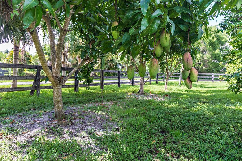 LOXAHATCHEE GROVES - Residential