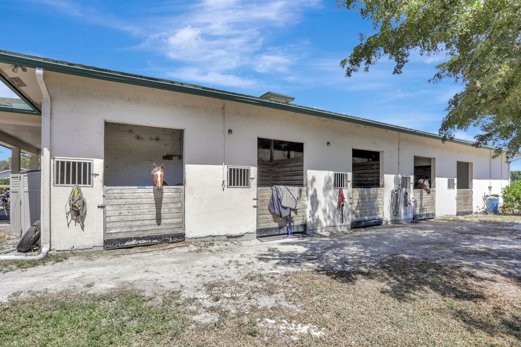 Florida Fruit Lands - Residential