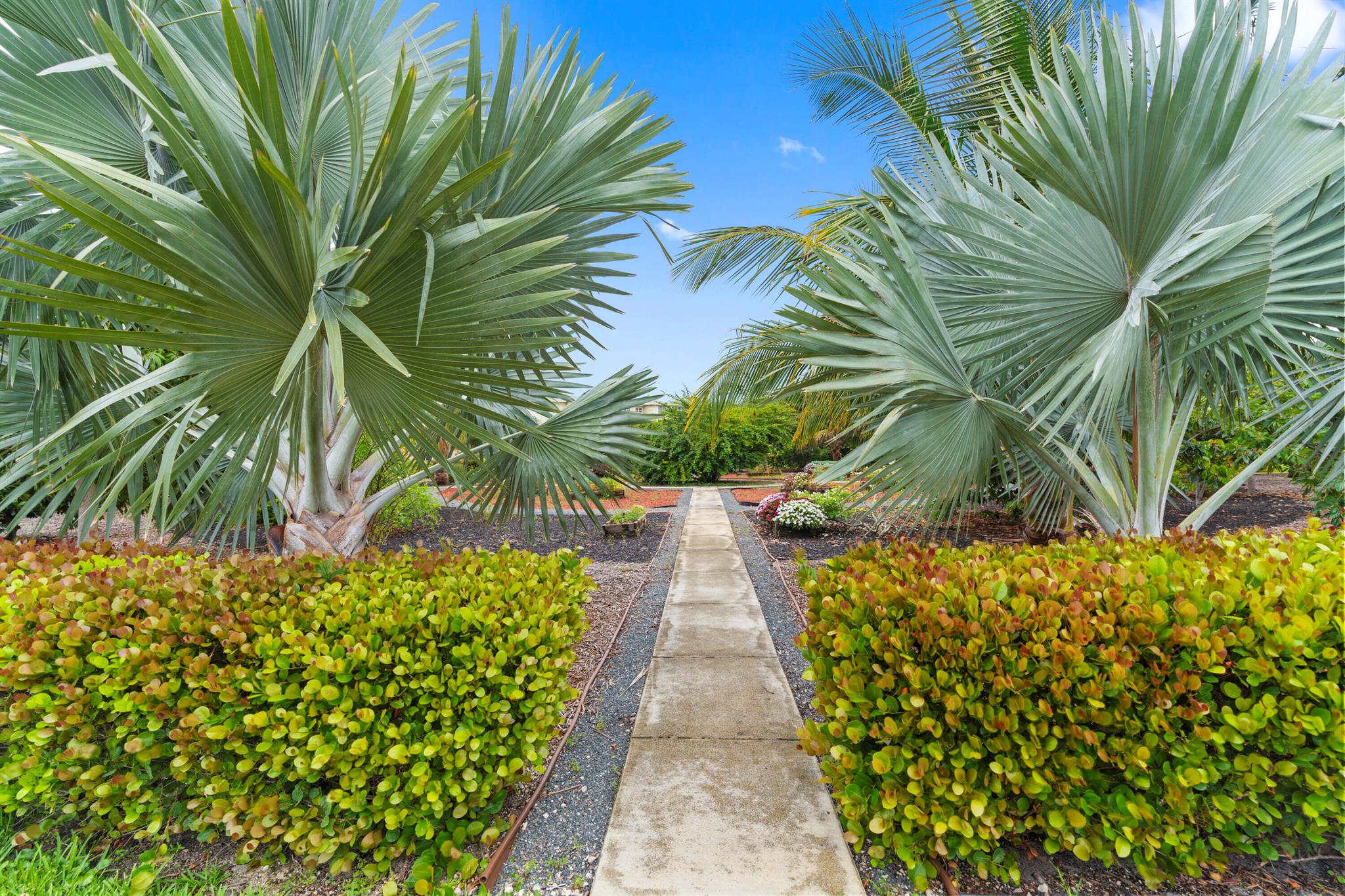 VILLAGE ROYALE GREENVIEW - Residential Lease