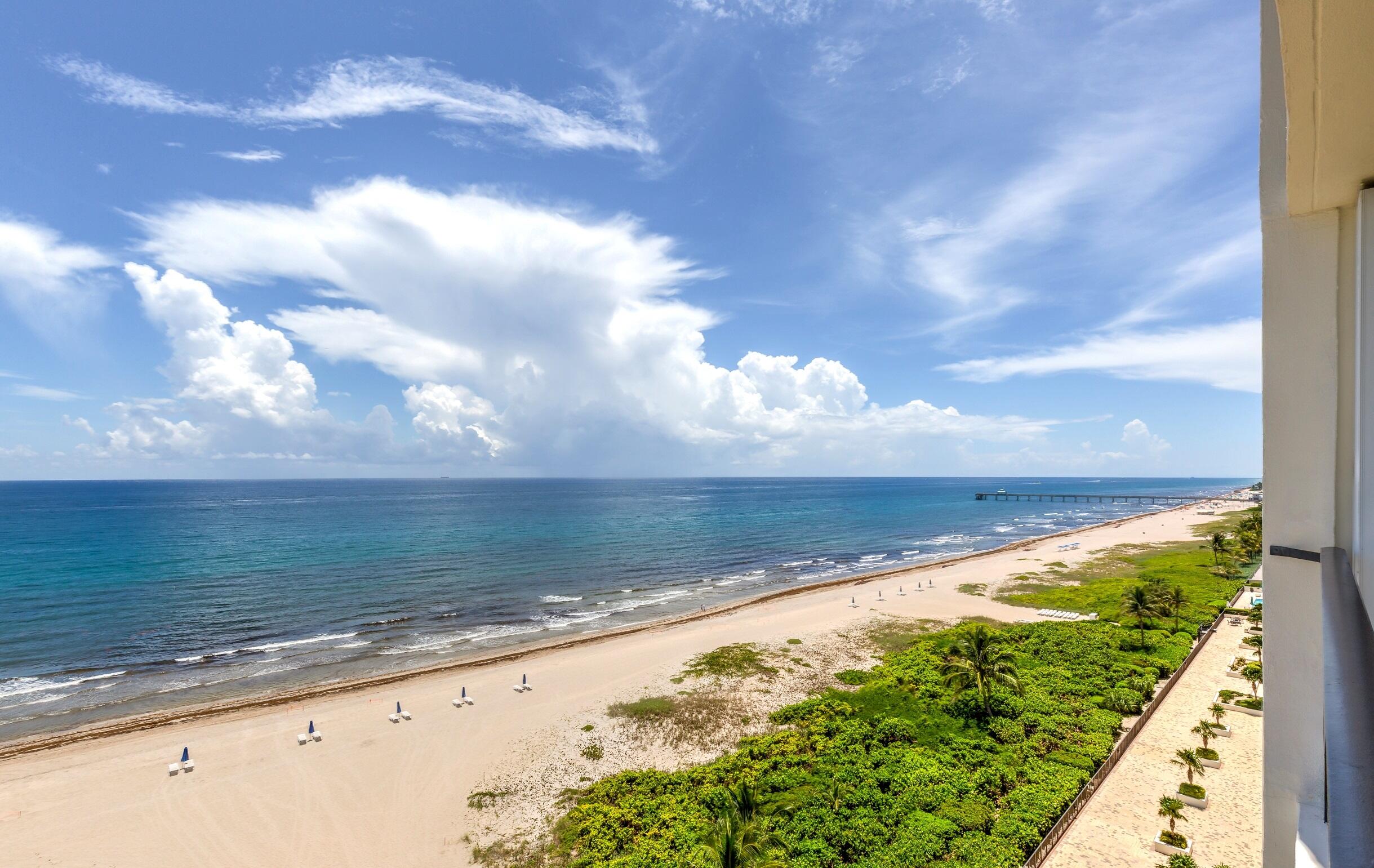OCEAN TOWERS - Residential