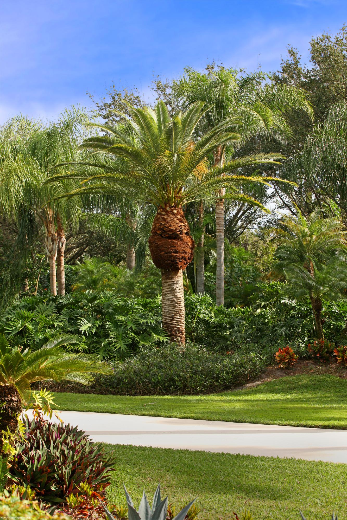 Ranches - Residential