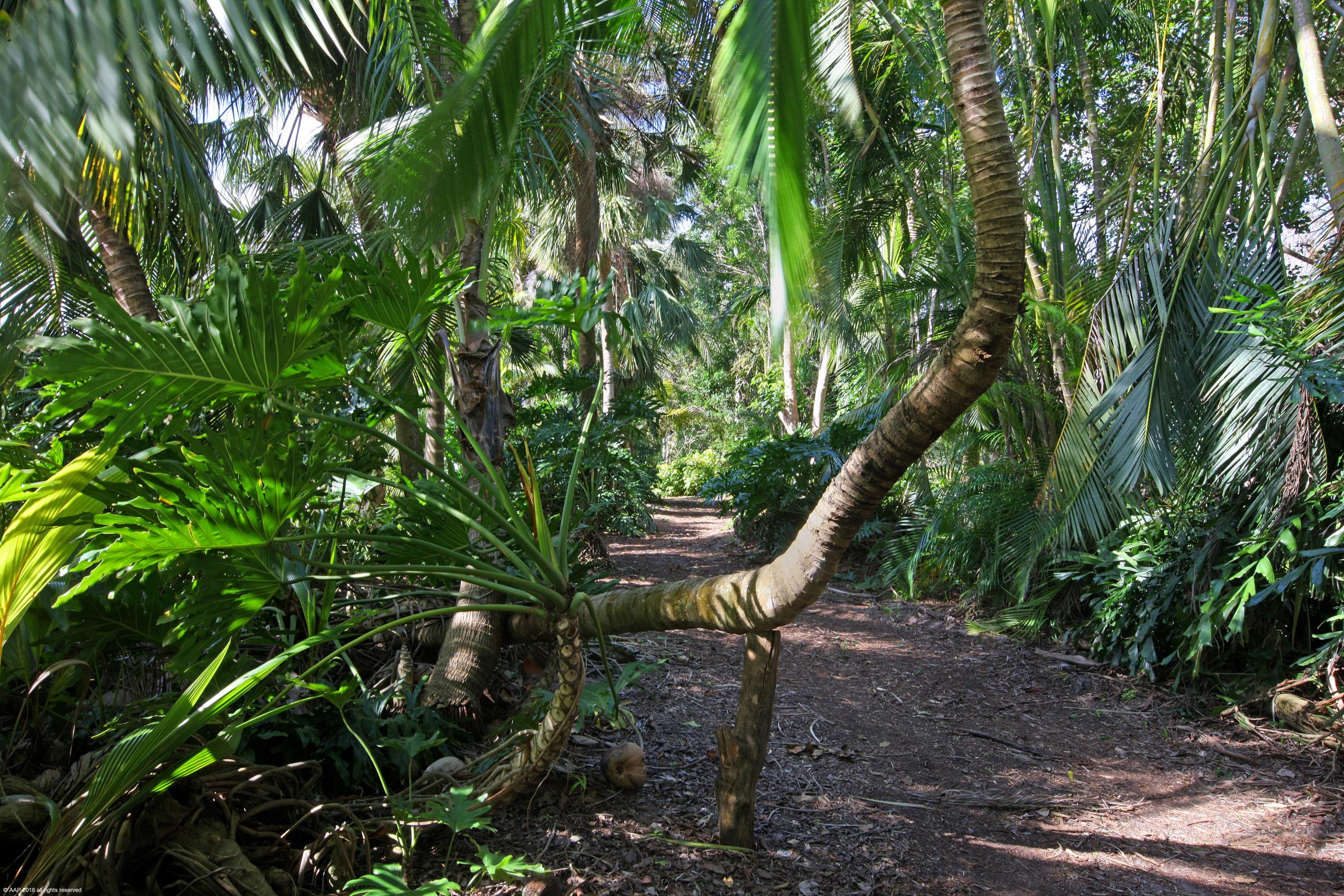 Ranches - Residential