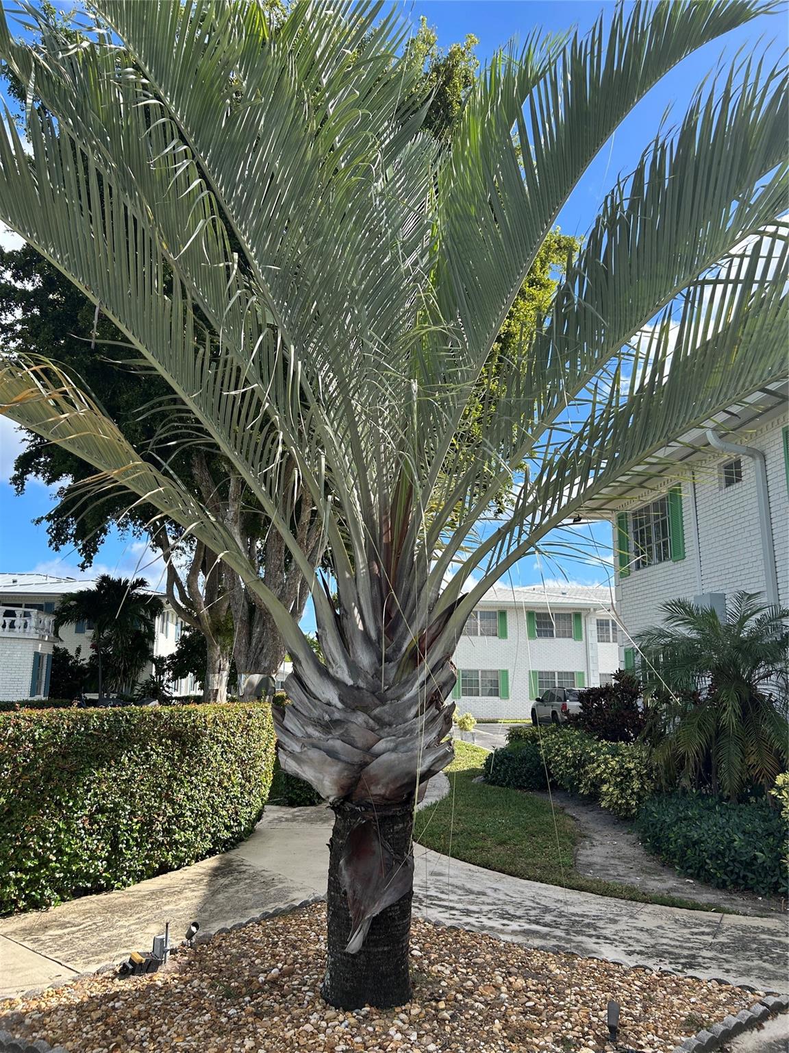 Georgian Court - Residential