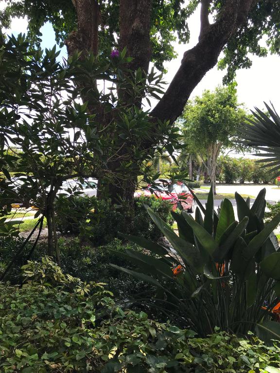 CENTURY VILLAGE - Residential