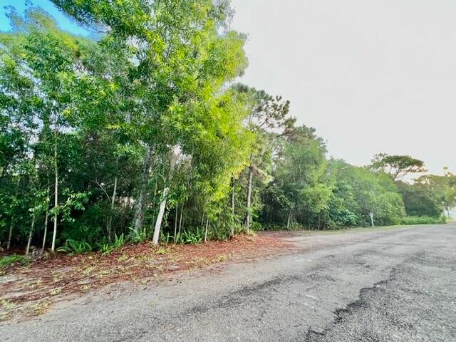 Xxx 182nd Road N