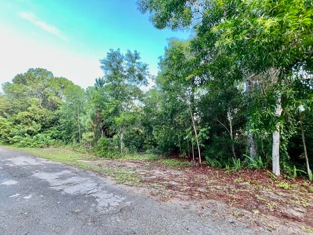 Xxx 182nd Road N