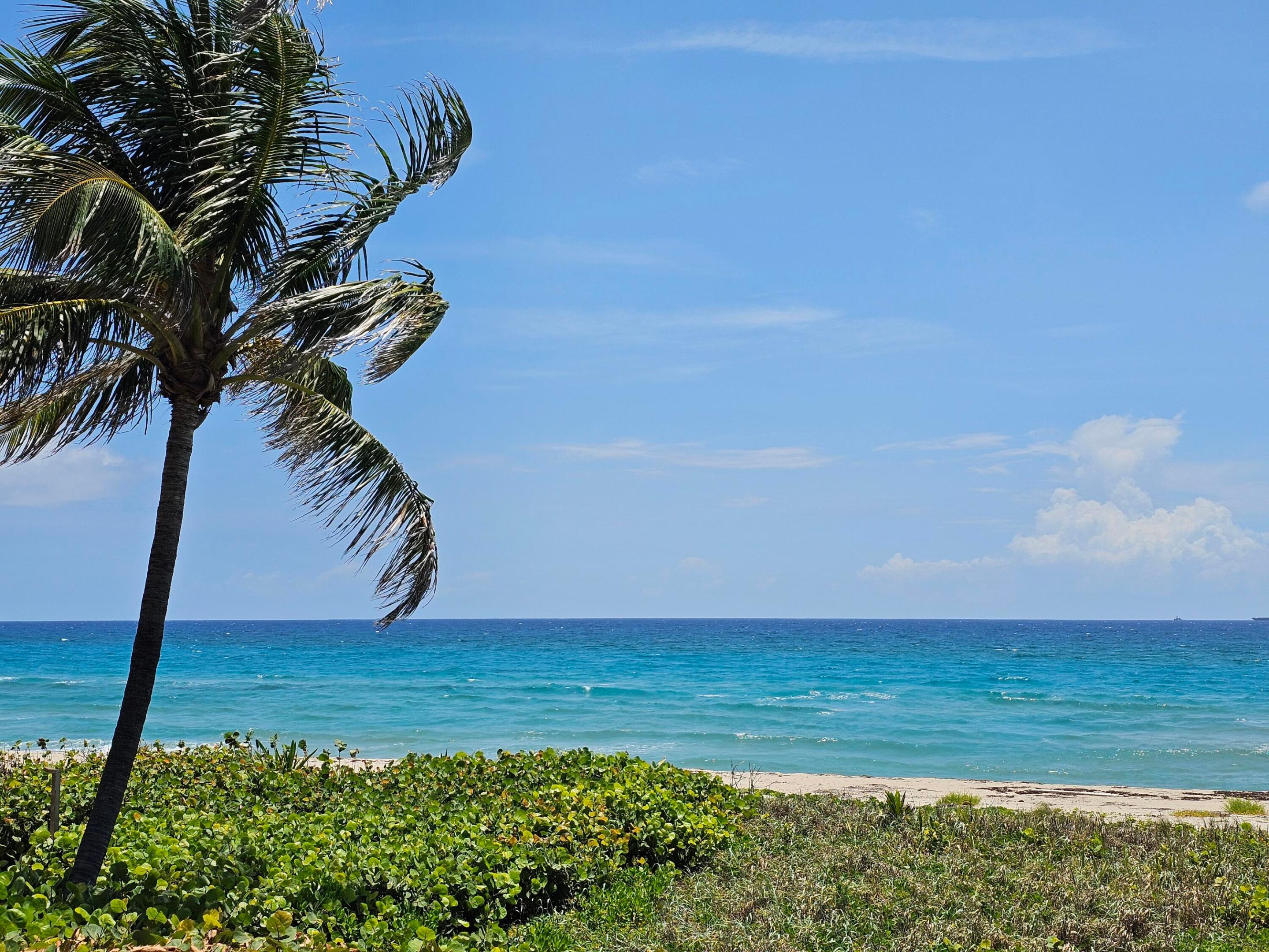 LOXAHATCHEE GROVES - Land