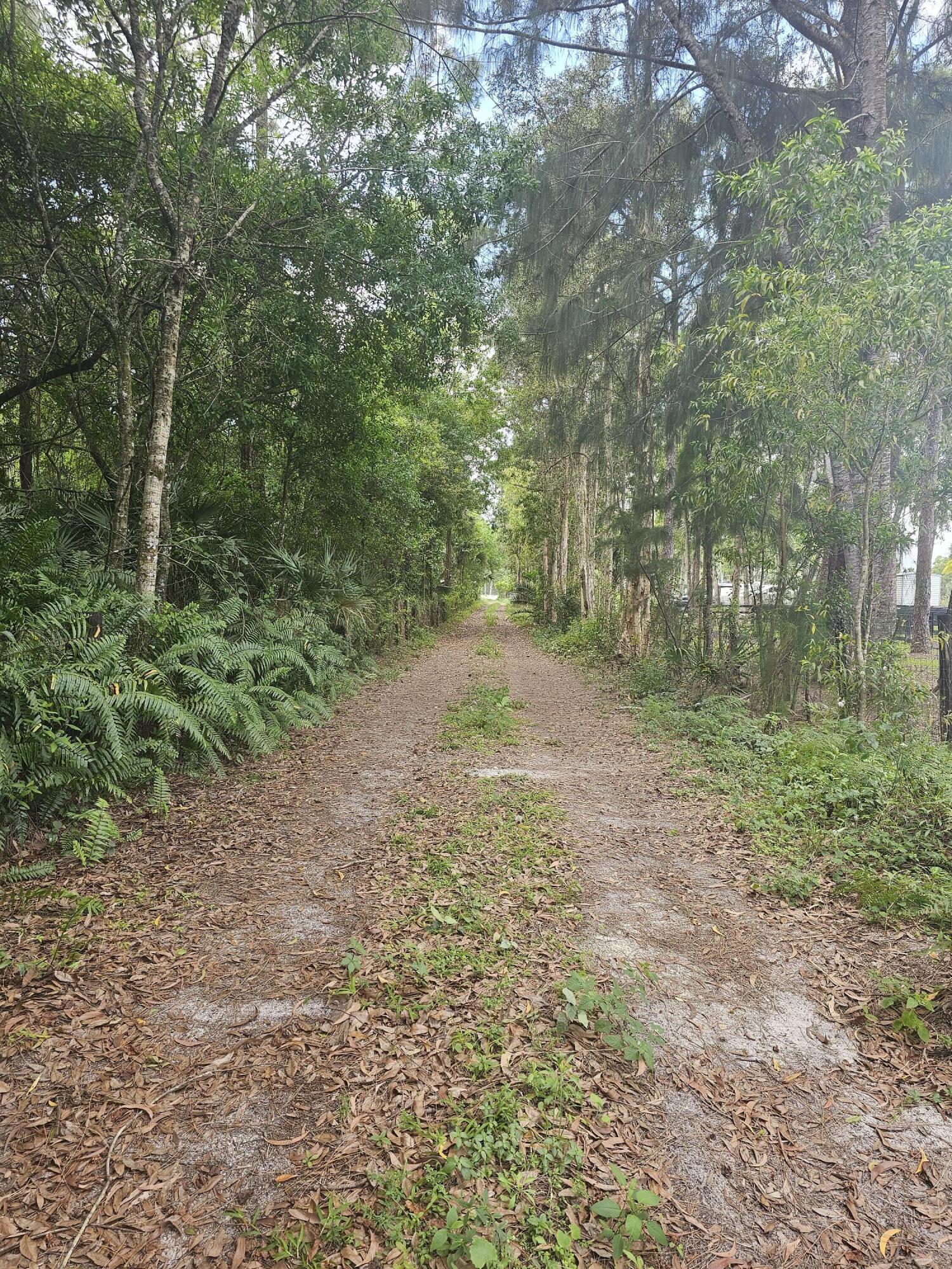 LOXAHATCHEE GROVES - Land