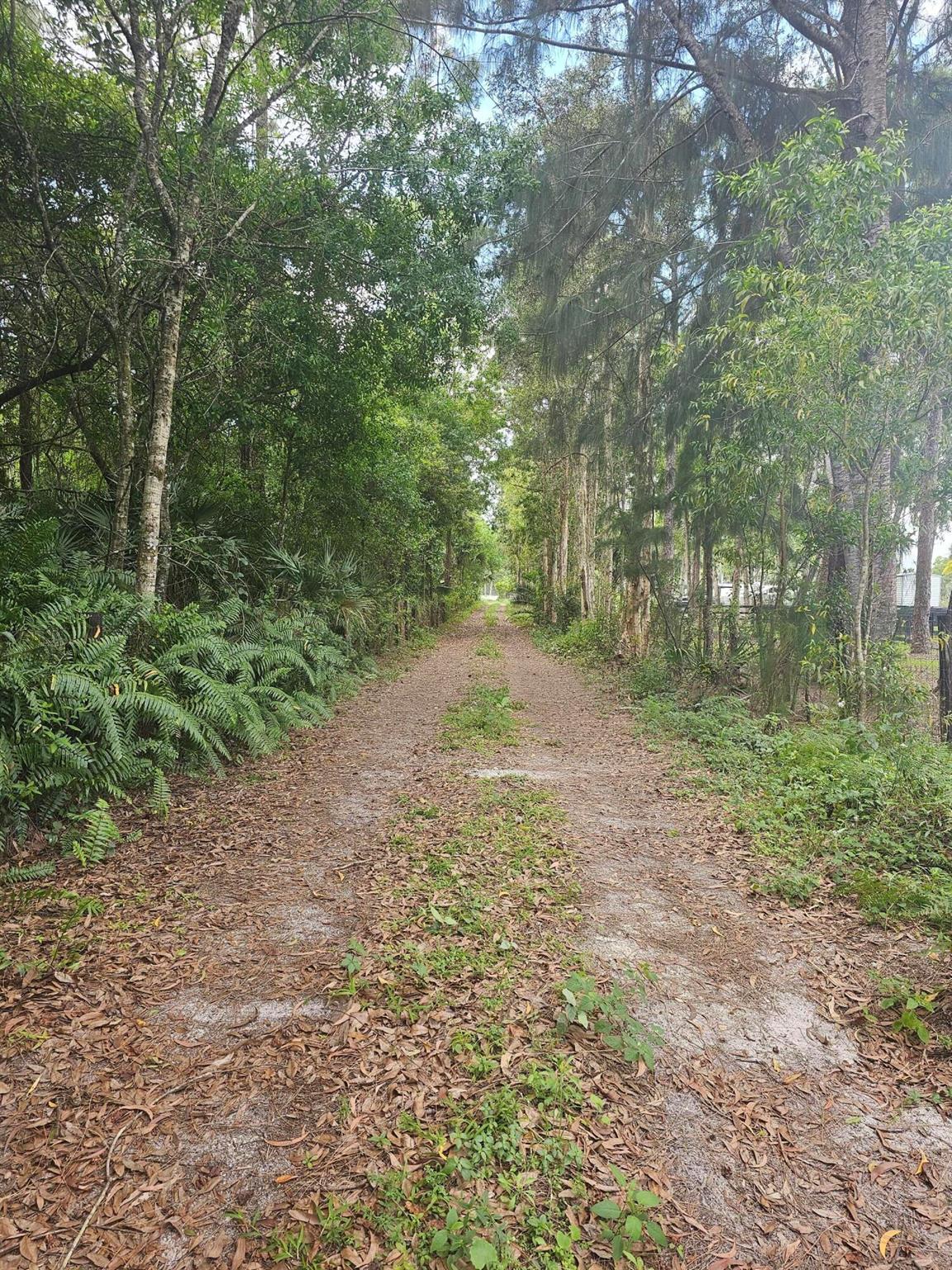 Need space and privacy - here it is... 5 acres in Loxahatchee Groves located in Palm Beach County, Florida. Build your dream country estate and enjoy the Town & Country lifestyle.Great location with easy access to major cities and beaches.Covered Arenas, Farming, livestock, RVs, & Boats are all welcome.No bridges to cross or maintain.No thru traffic.Legal Ingress / egress - Survey in Documents section. Covered Arenas, Farming, livestock, RVs, & Boats are all permitted. B Road leads directly to Okeechobee Blvd, Southern Blvd and Wellington's Horse Show events.Minutes to shopping, restaurants, golf, equestrian venues, State College, International Airport, Turnpike and I-95.