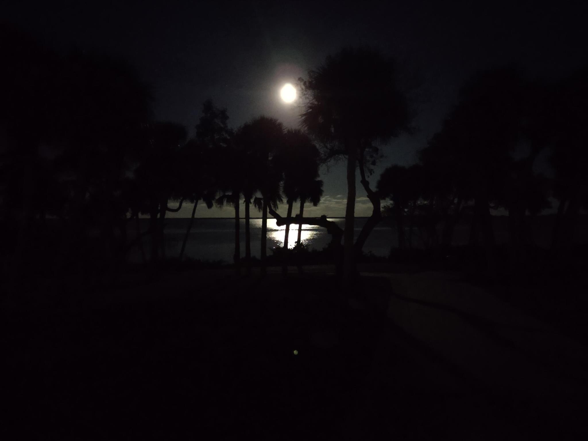 South Indian River Drive - Residential