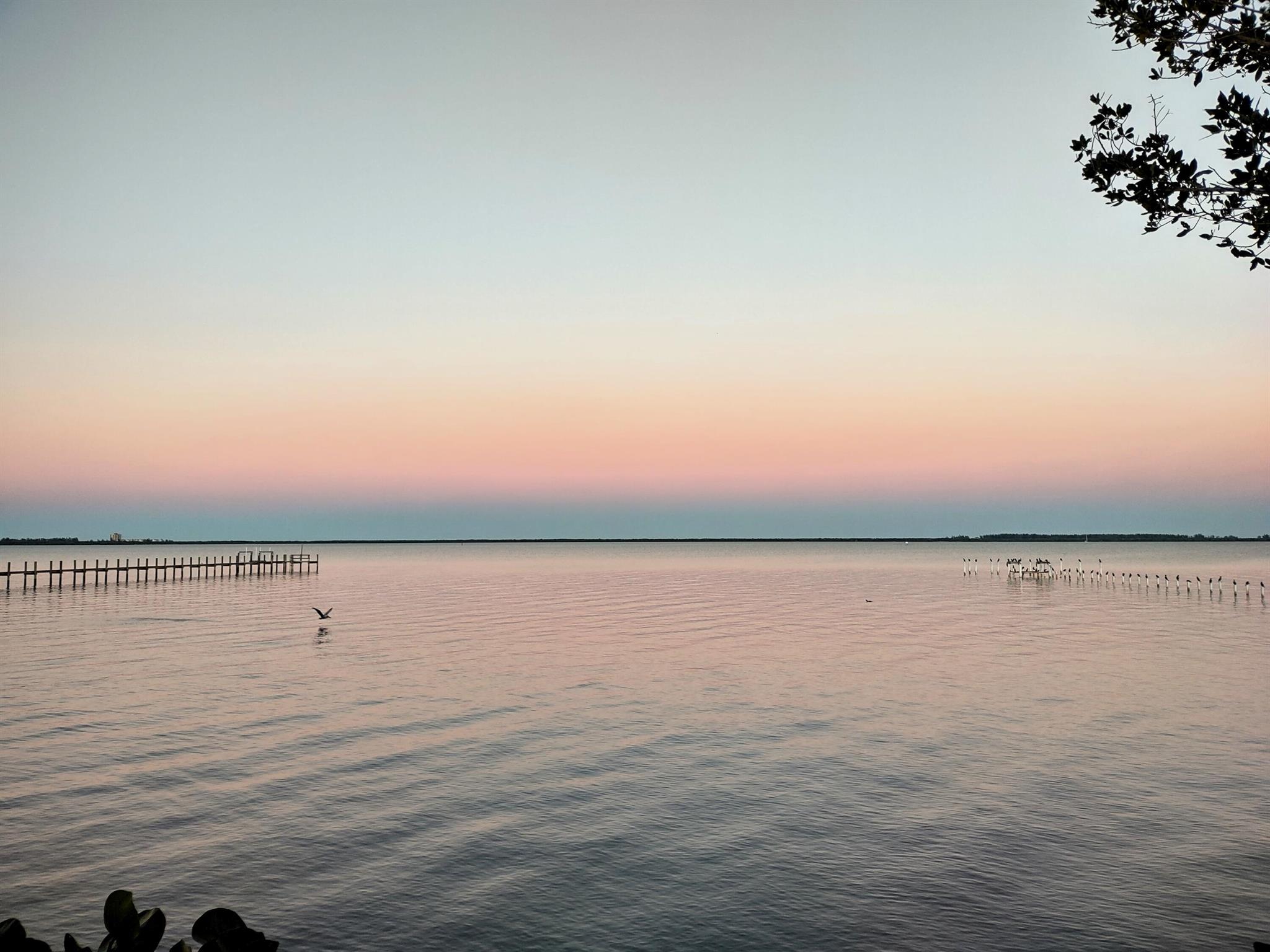 South Indian River Drive - Residential