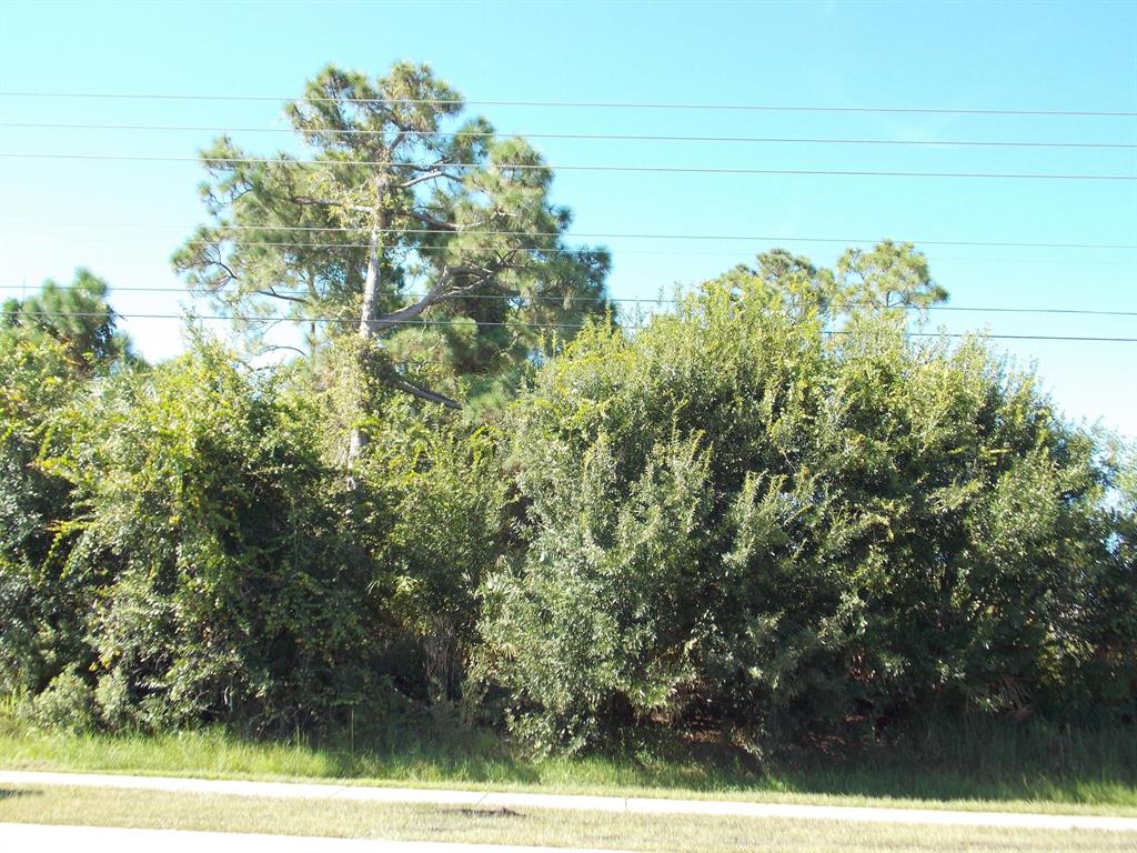 PORT ST LUCIE SECTION 20 - Land