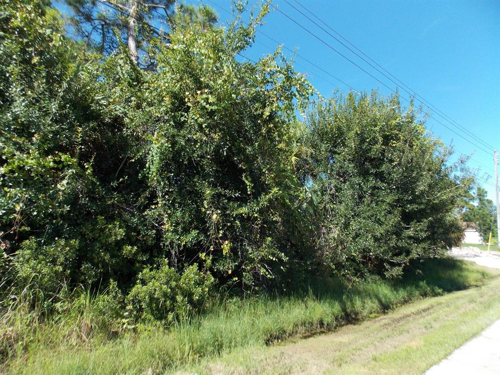 PORT ST LUCIE SECTION 20 - Land