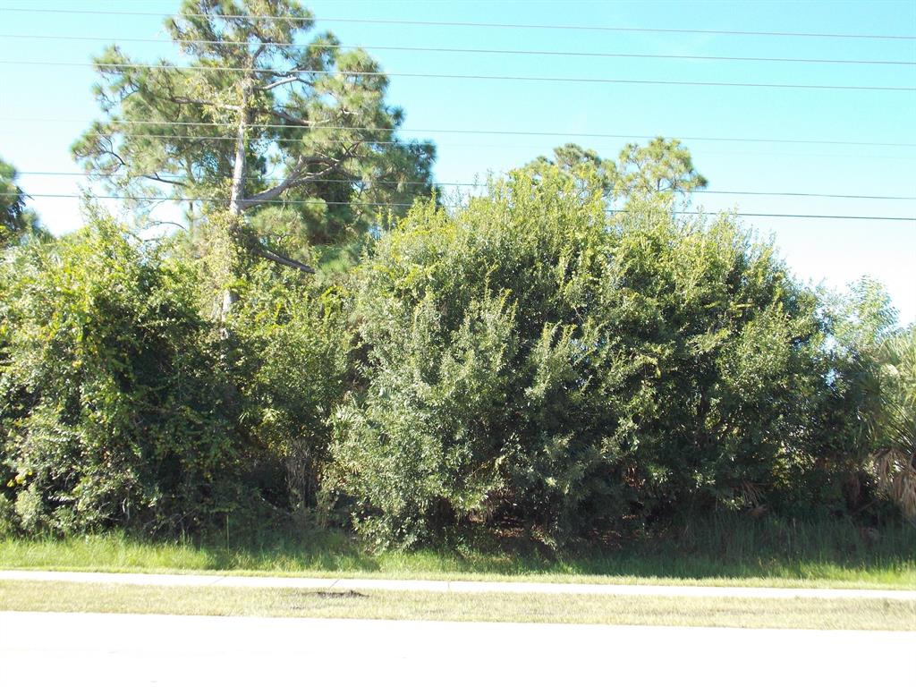 PORT ST LUCIE SECTION 20 - Land
