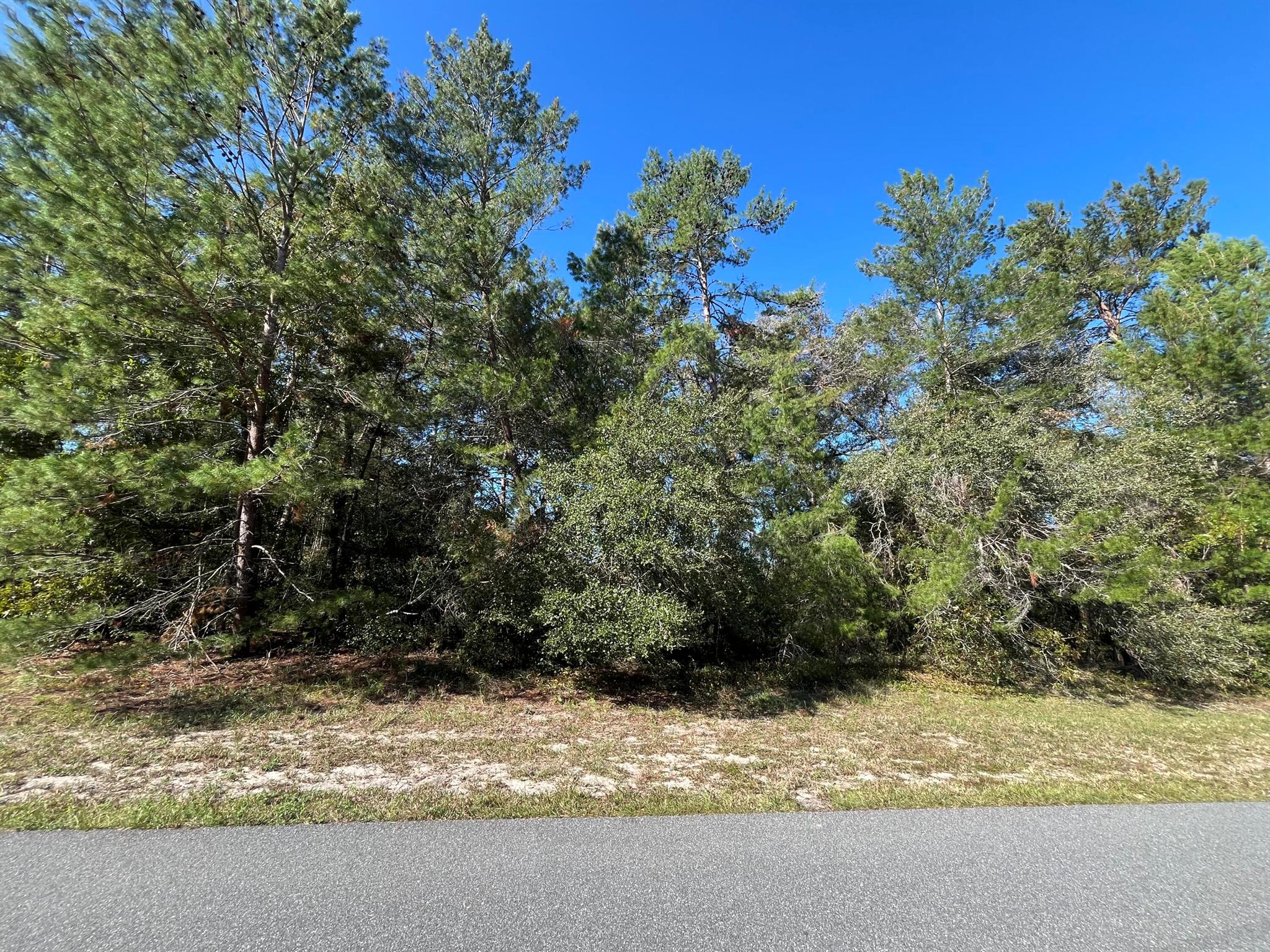 OWNER FINANCING CONSIDERED! Come check out this beautiful, oversized corner 0.54-acre lot located in the growing community of Marion Oaks. Public water access and access to power on the road. This parcel offers plenty of potential for those looking to build their new home. There are many new builds currently in the process of construction in this area. Convenient to I75, World Equestrian Center, shopping, schools, hospitals, mall, and restaurants! Looking to purchase property in Florida, look no further. Buying Land in Florida is a solid investment for your future. FOR DIRECTIONAL PURPOSES 17775 SW 34TH TERR
