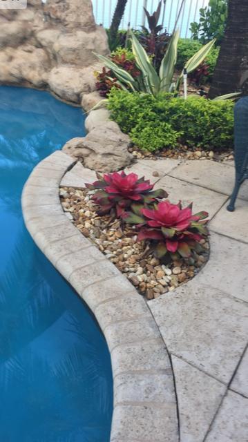 TERRACINA JOHNSON PROPERTY - Residential