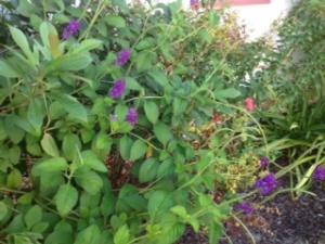 Kings Point Waterford A T - Residential