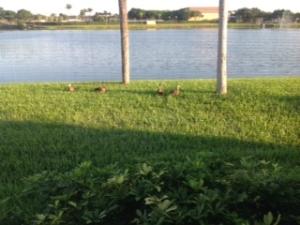 Kings Point Waterford A T - Residential