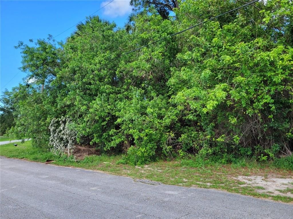 Photo of 2985 SW Skyline St, Port St Lucie, FL 34953 (MLS # F10377787)