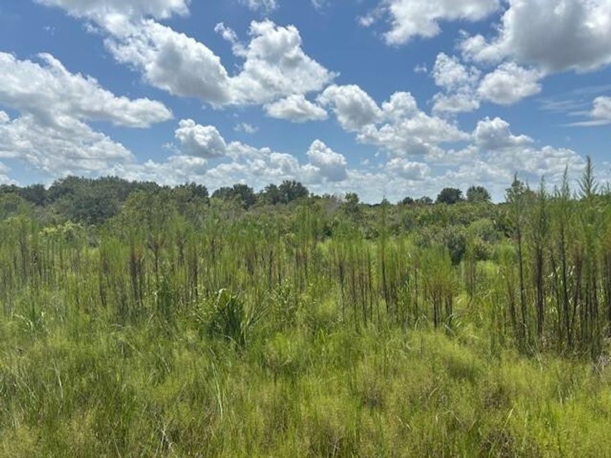 1.25 acre lot in Viking Estates. Close to the Kissimmee Prairie State Park. Bring your 4 -wheelers. This property is not only ideal for recreational uses such has camping, hunting and shooting, but it’s agricultural as well