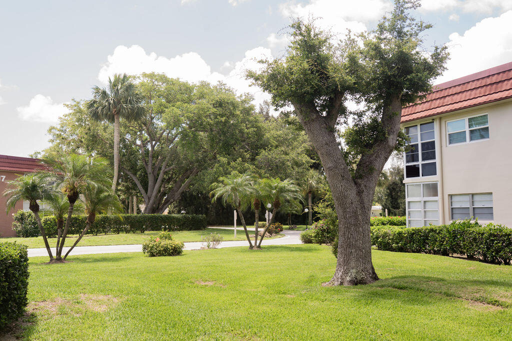 15 Vista Palm Lane 105