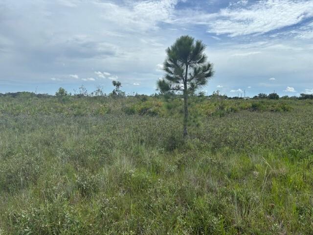 This double lot in the prairie provides plenty of space for your camp and/or small farm.
Owner financing