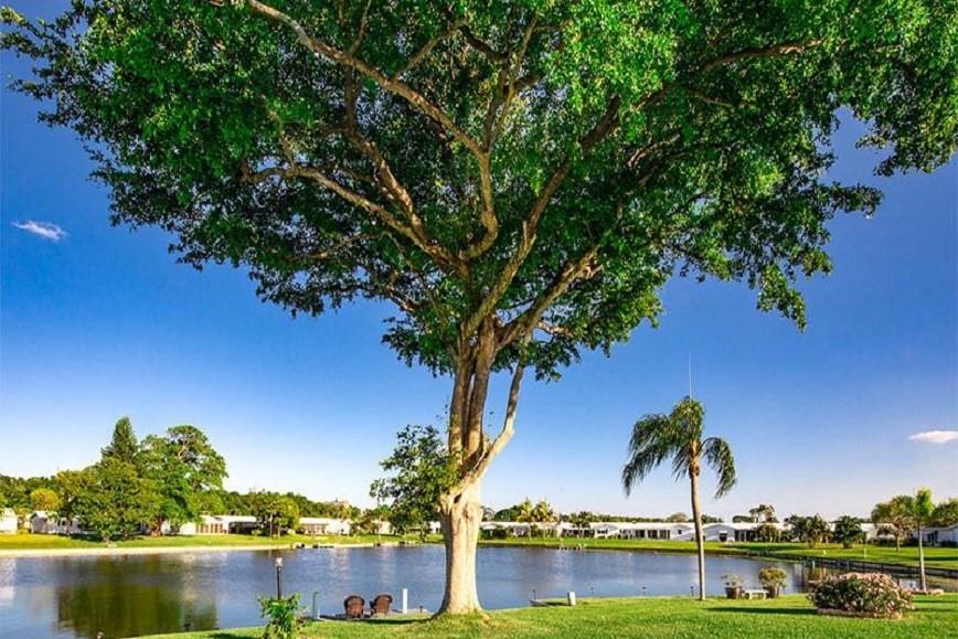 PALM BEACH LEISUREVILLE S - Residential