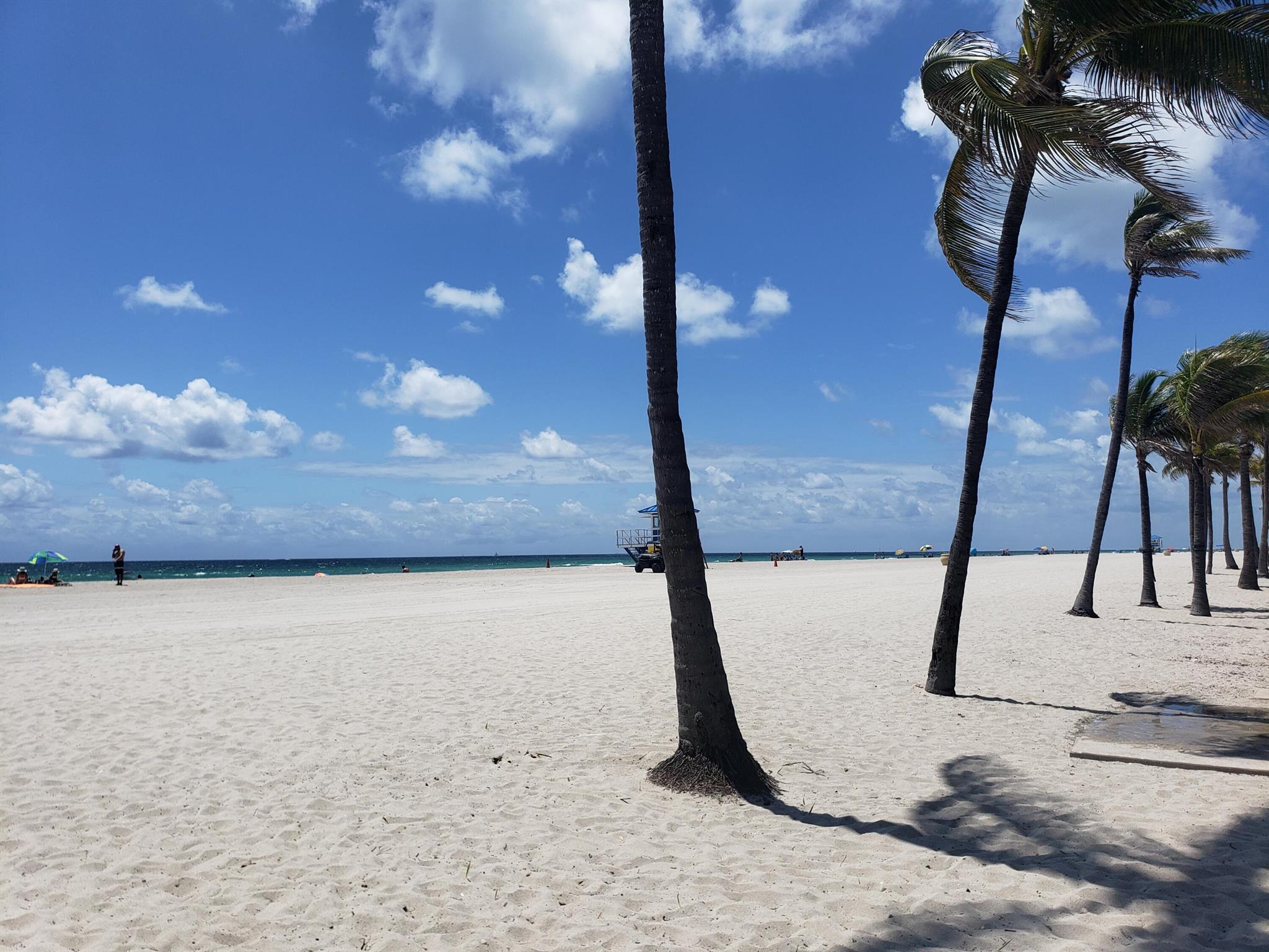 HOLLYWOOD BEACH - Residential Lease