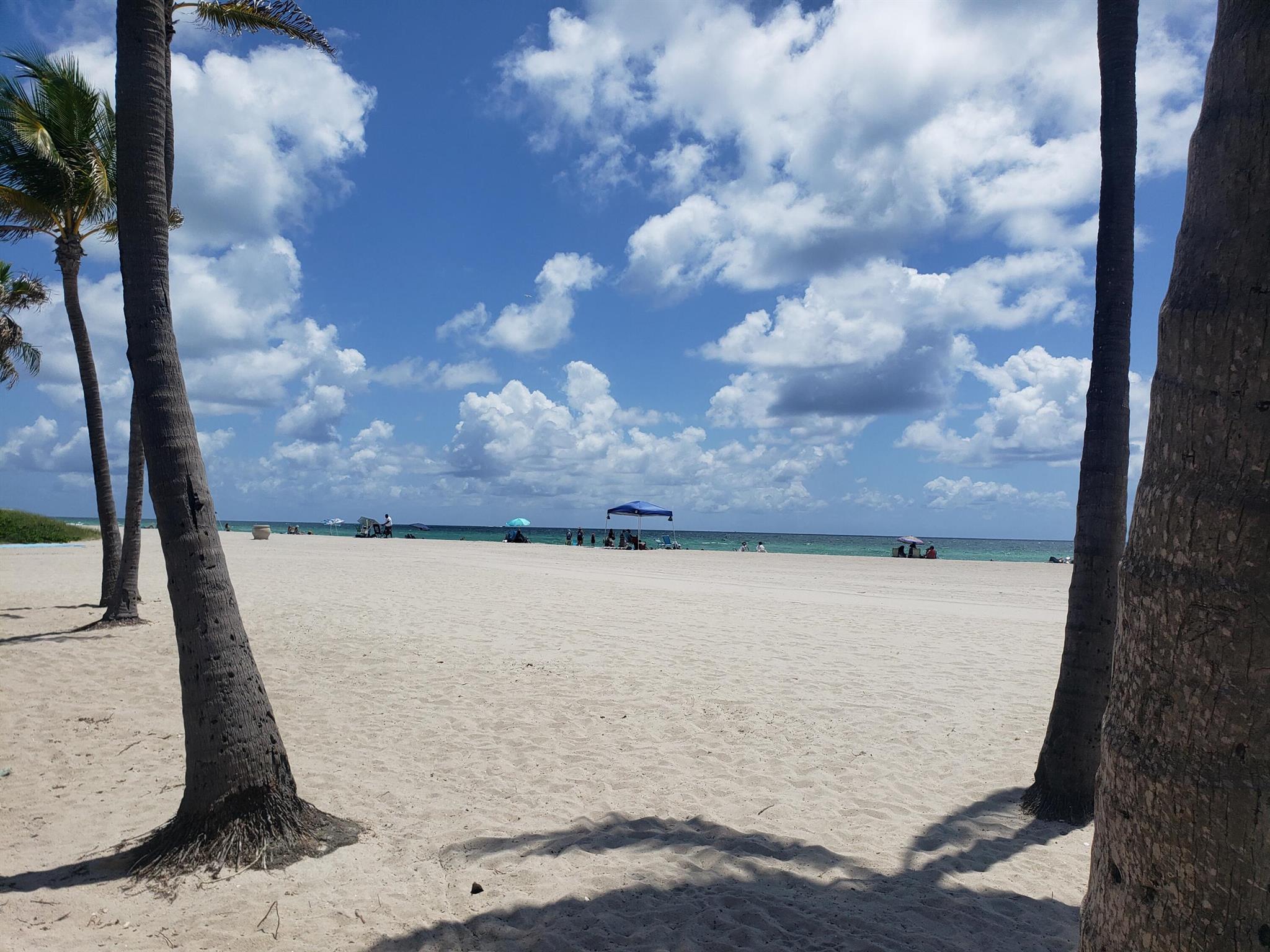 HOLLYWOOD BEACH - Residential Lease