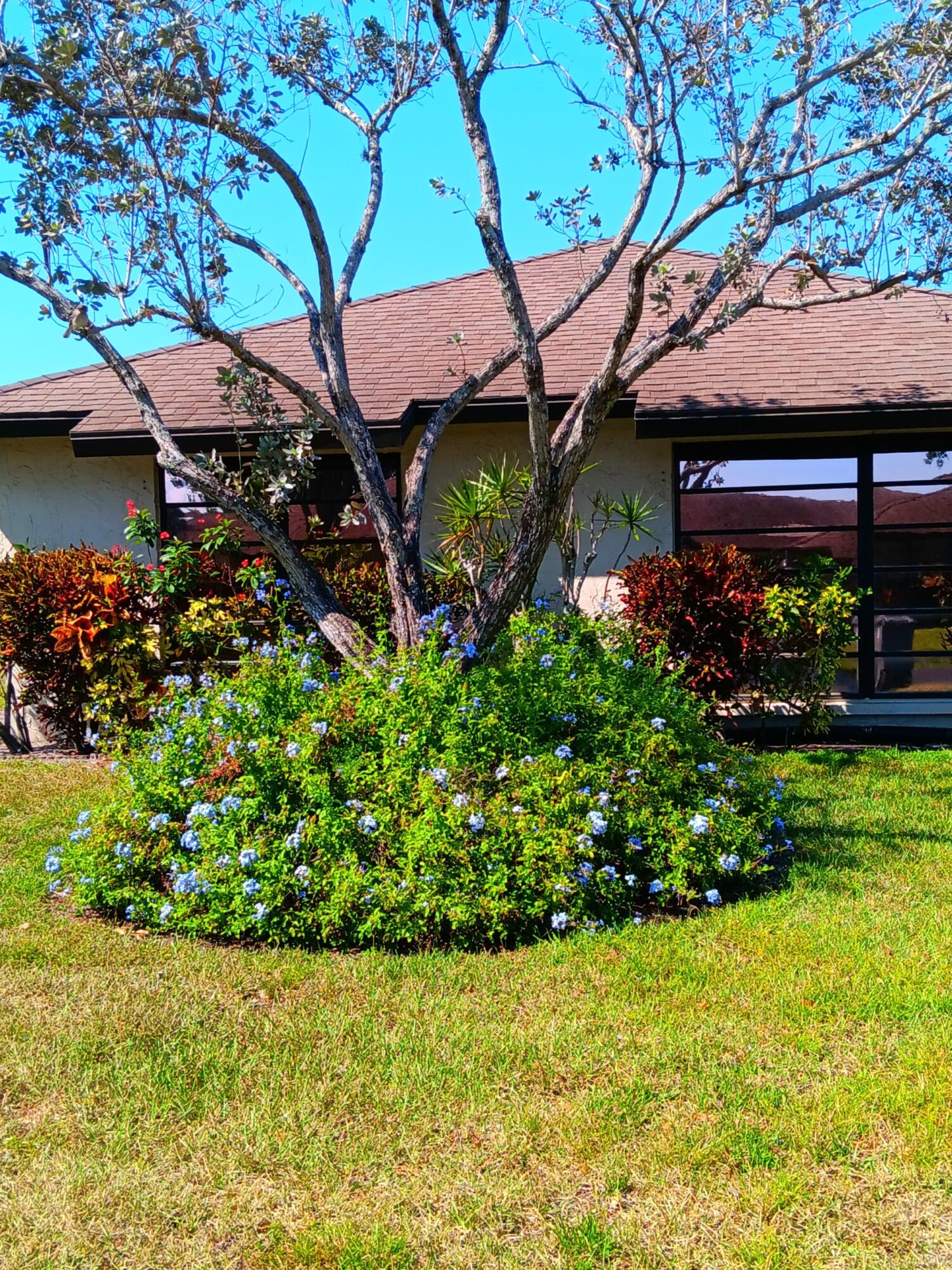 GREENTREE VILLAS CONDO - Residential