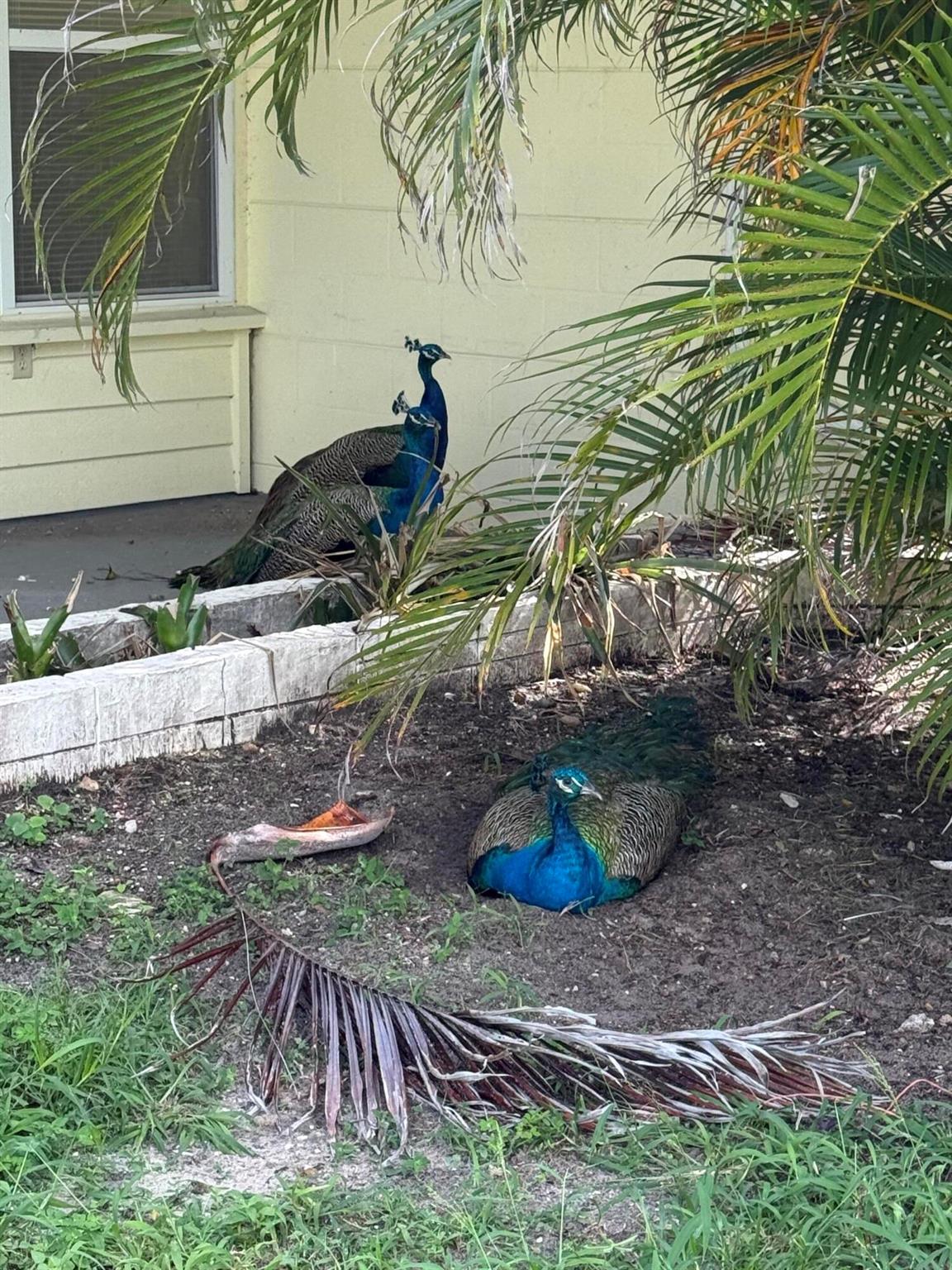 RIVERSIDE HEIGHTS - Residential Lease