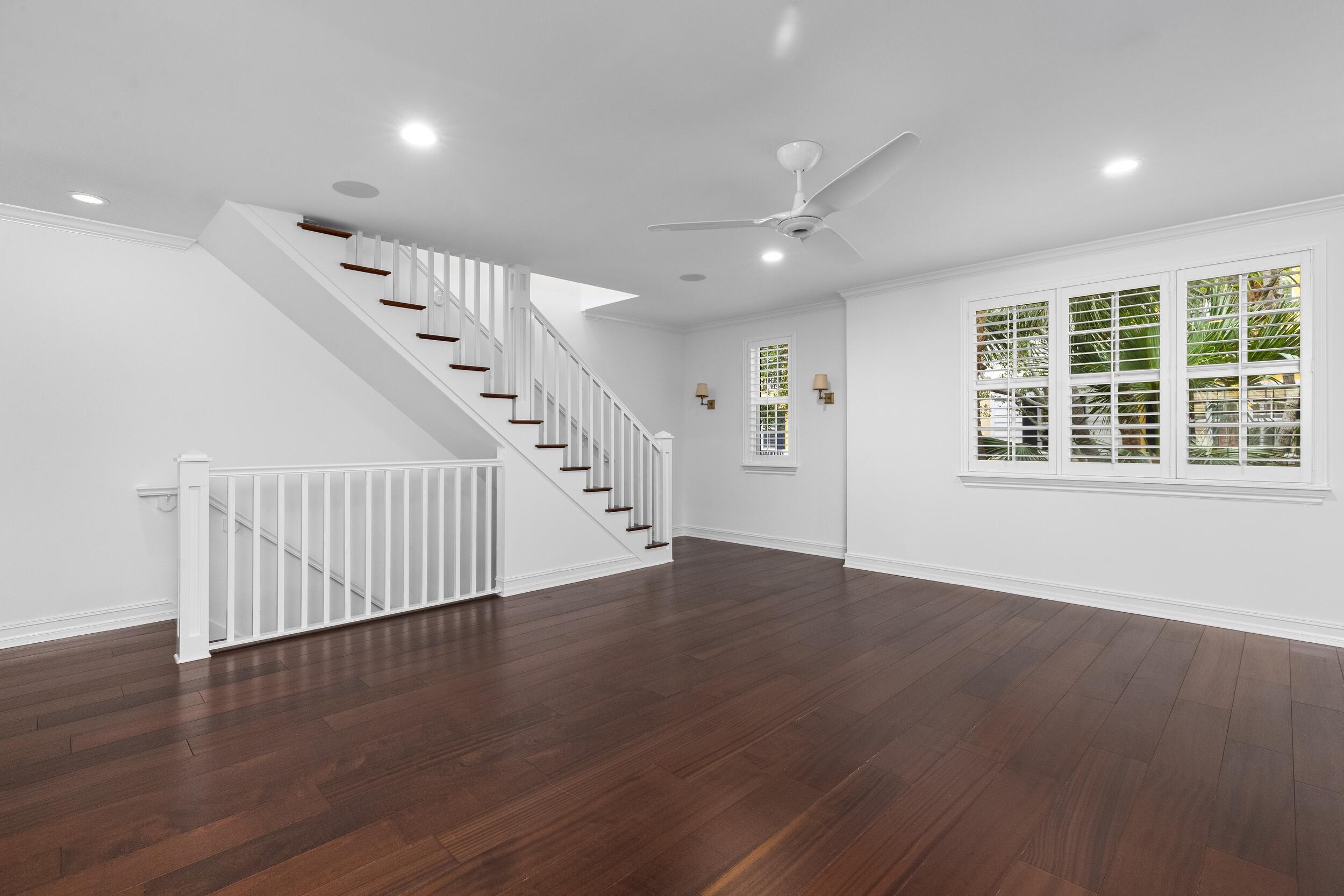 317 S Bromeliad