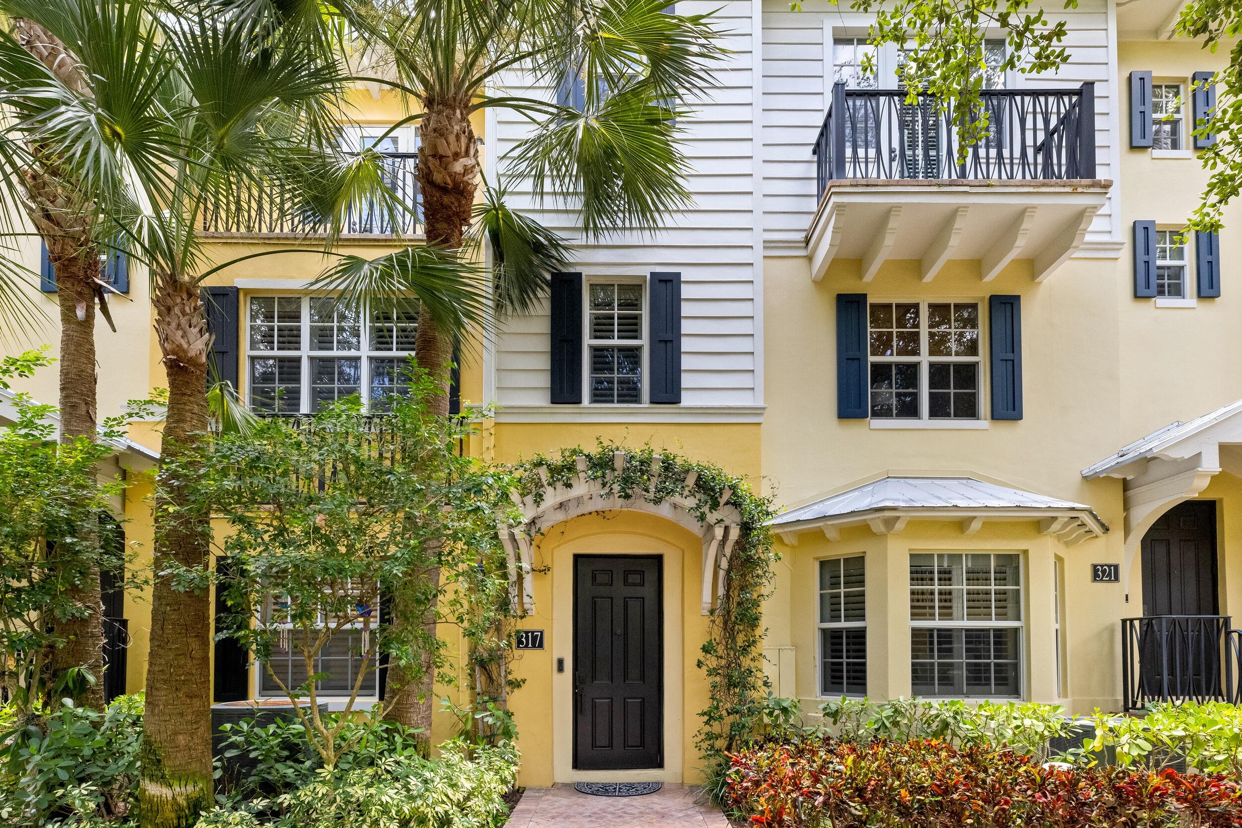 317 S Bromeliad
