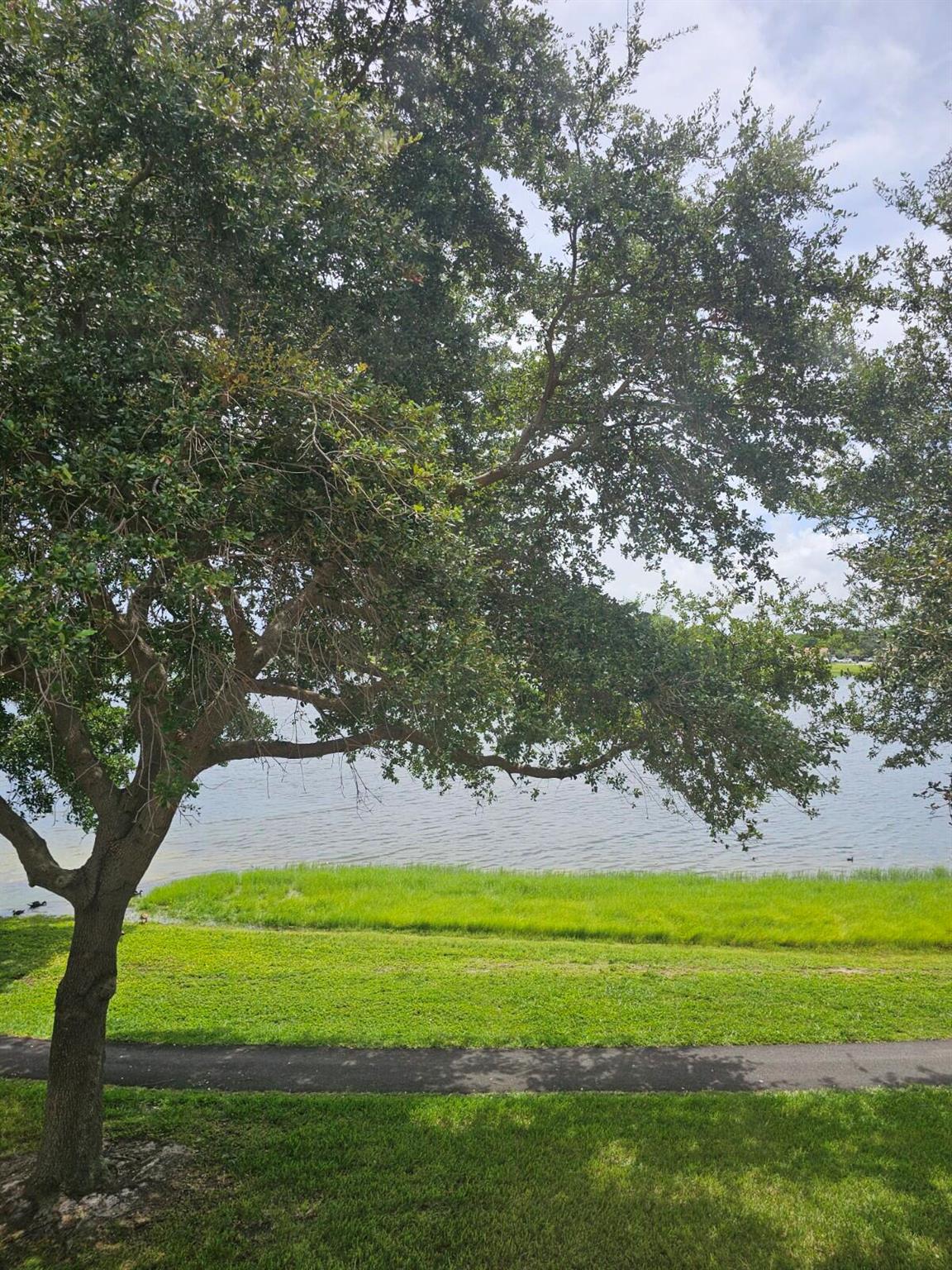 LAKE WINDWOOD CONDO - Residential