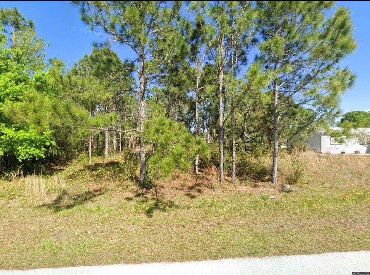 FOUR SEASONS. Great to build home for commuters to coast as close to Highway 70 East. Plenty of room for house and barn or workshop.
Lot has many nice shade trees, but has not been cleared Electric is available