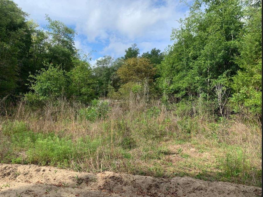 Mobile Homes and RVs permitted on this 0.22 acres in peaceful Interlachen Lakes Estates.
Adjacent land available
Owner financing available $1,000 down and under $200 per a month.