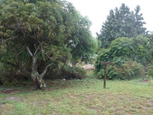 Irene Plaza - Residential