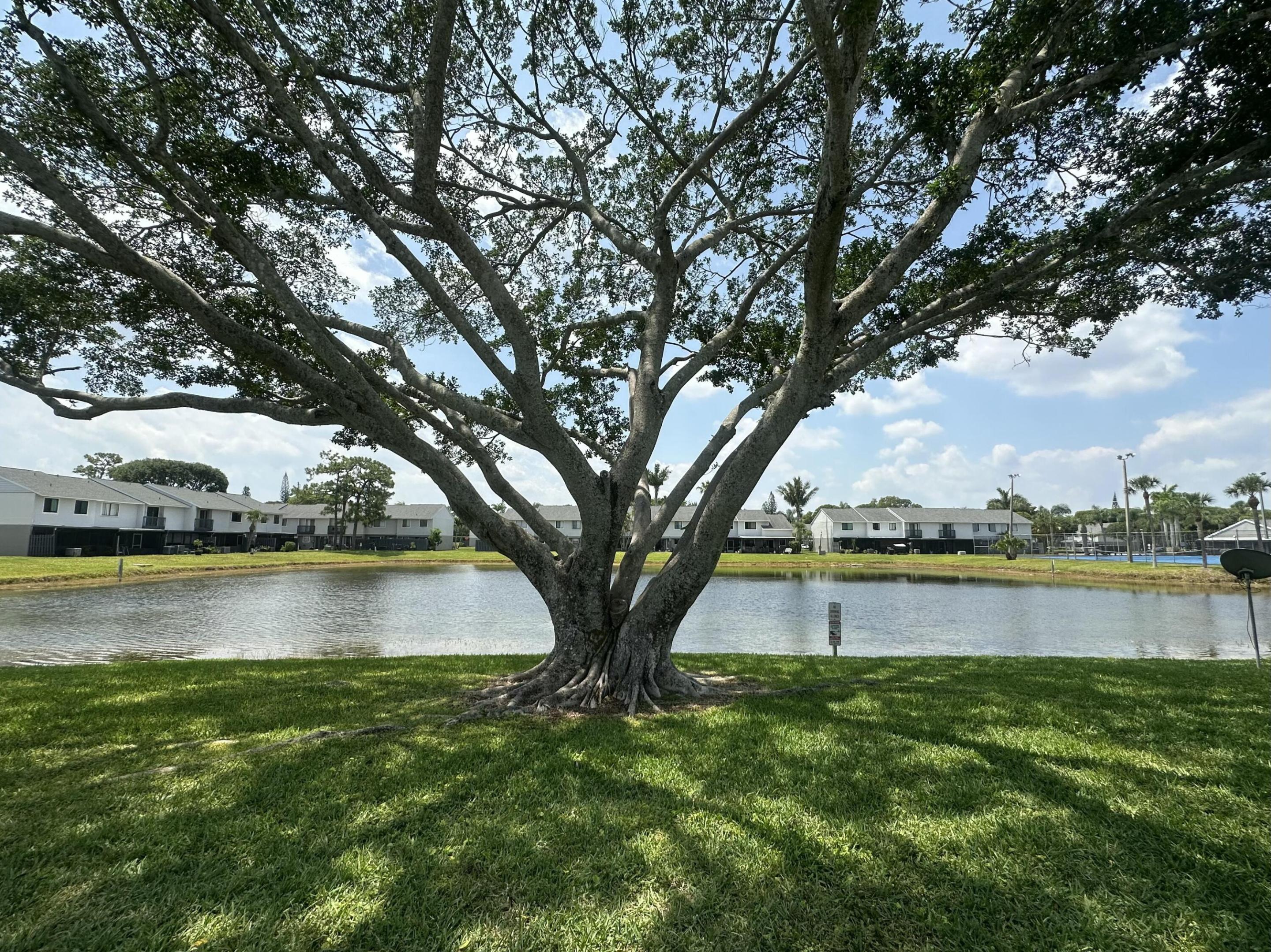 CANALAKE REPLAT - Residential Lease