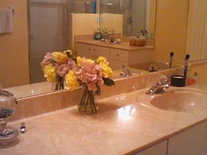 LAKE CHARLESTON TRS T AND V 1 - Residential Lease