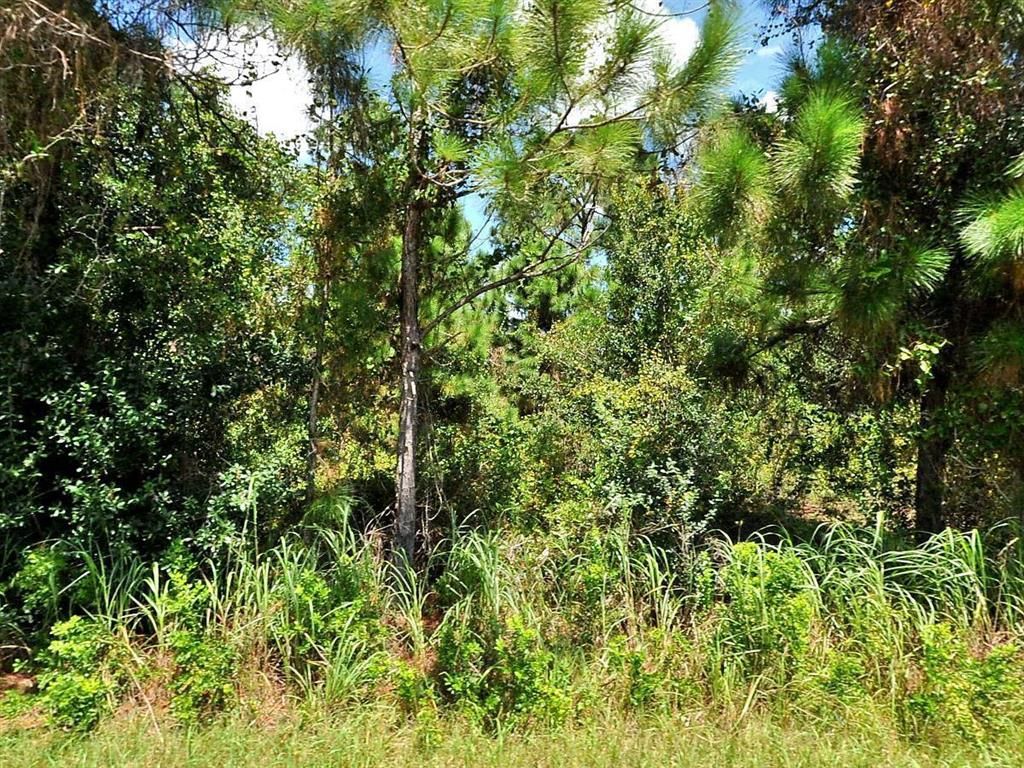 Photo of 1721 SW Effland Avenue, Port Saint Lucie, FL 34953 (MLS # R10791429)
