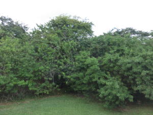 Casablanca Isles - Residential