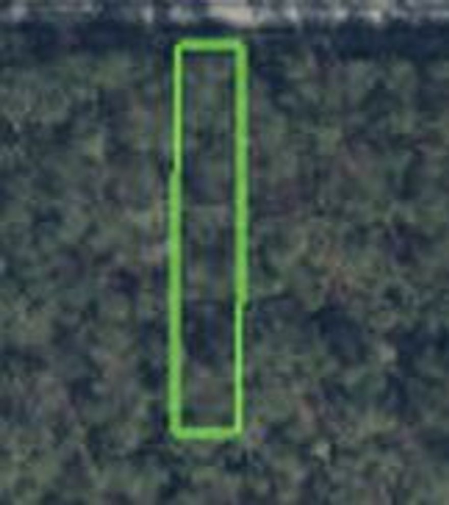 Welcome all Investors and Developers- This is your opportunity to build on an income producing property. This is right off the main road with many potential opportunities for a flourishing business of your choice. Don't lose this opportunity. It is priced to sell.