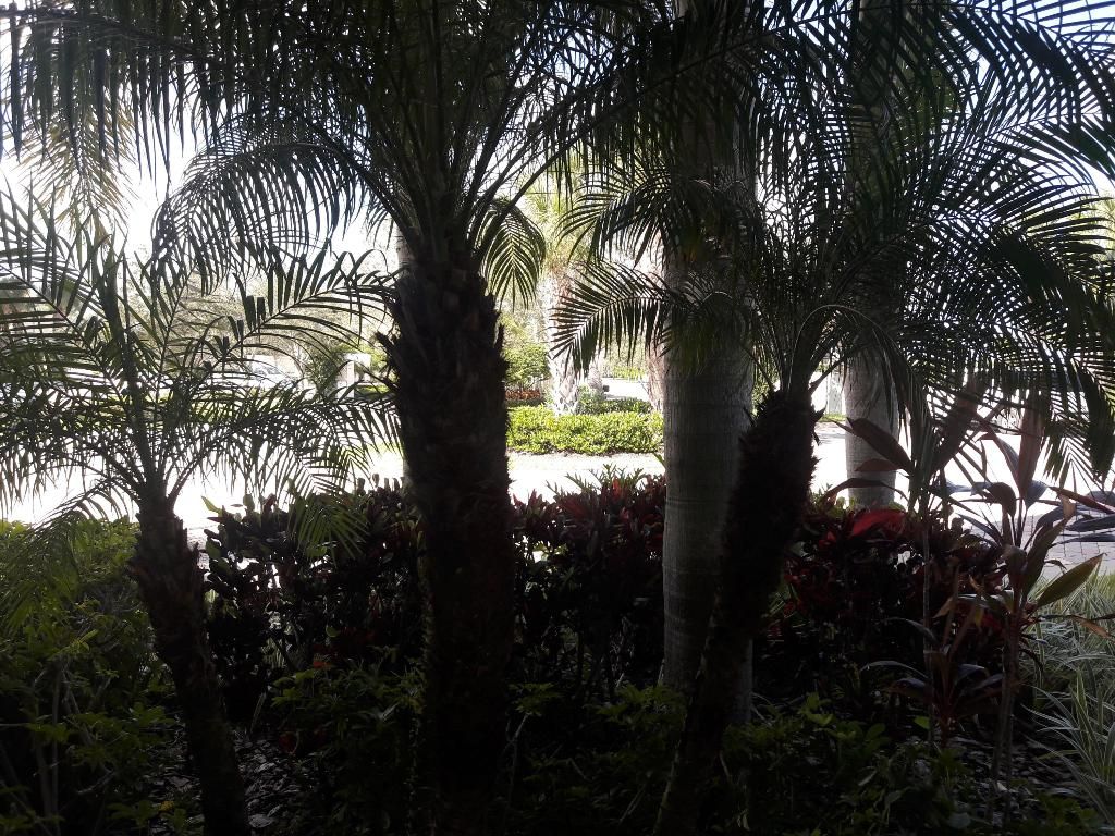 Photo of 37 Harbour Isle Drive E #106, Fort Pierce, FL 34949 (MLS # R11156051)