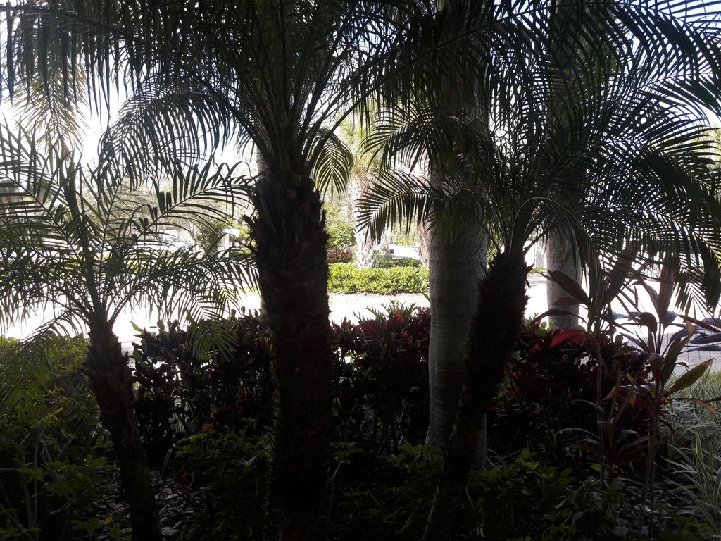 Photo of 37 Harbour Isle Drive E #106, Fort Pierce, FL 34949 (MLS # R11156051)