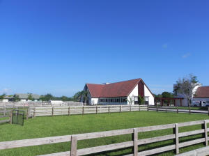 Beautiful new facilities at walking distance from the PBEC. 8- 10 Stalls available for rent. All the barn and stalls have rubber floors. The stalls are 12ft x 12ft, one tack room, one feed room, four paddocks, tractor & drag, ESI international all weather footing, derby field, riders lounge, washer & dryer, three wash racks and jumps.Prorated expense; FPL, Water, Manure, Fly Spray System, optional rent treadmill (horsegym). LA is related to owner.The one bathroom is the riders lounge and no overnight stay is permisible.